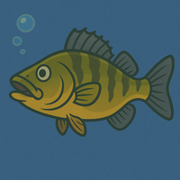 Perch image