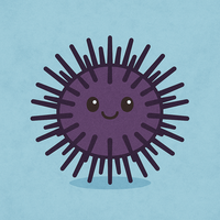 Sea-Urchin image